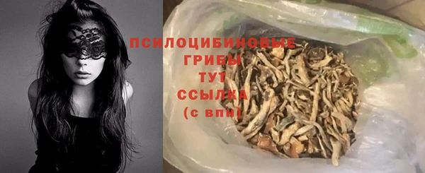 эйфоретик Осташков