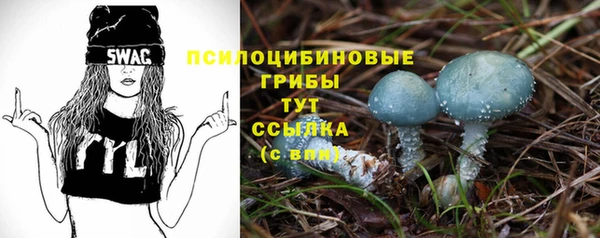 первитин Алексин